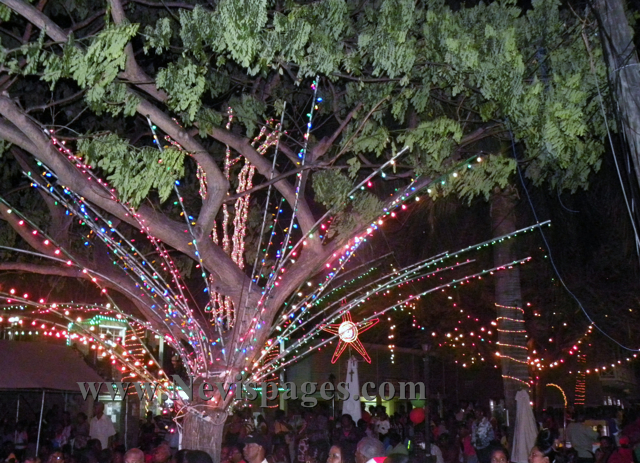 Charlestown Christmas Tree Lighting 2014