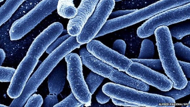 Superbugs to kill ‘more than cancer’ by 2050