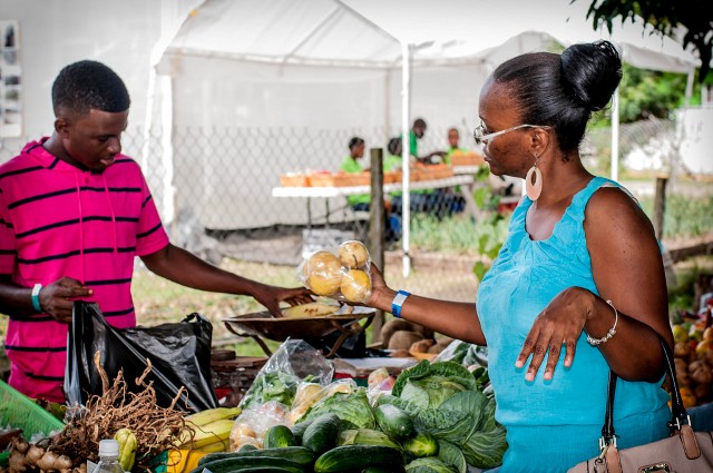 23rd Agricultural Open Day Promises Food, Education and Fun