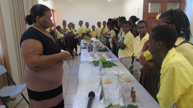 Breadfruit Fes’ At Barnes Ghaut