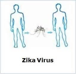 Zika And MERs-CoV Viruses