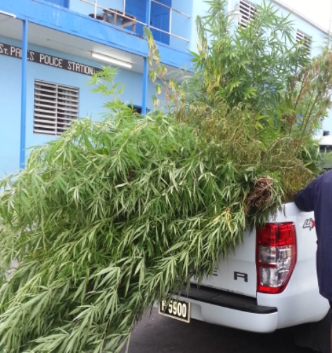 Police Press Release :Targeted Operations Conducted: