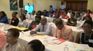 Some of the Industry providers at the opening ceremony of a workshop organised by the Nevis Financial Services Regulatory and Supervision Department in conjunction with the Ministry of Finance and the National FATCA Committee at the Mount Nevis Hotel on July 07, 2015