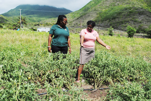 Development Bank gives small businesspersons opportunity to grow