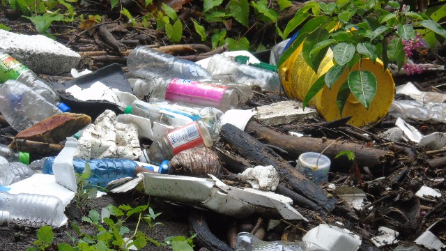 Illegal Dumping at Bath Stream