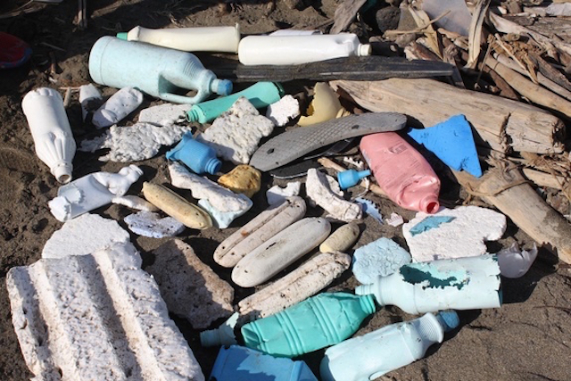 All Set for Annual Coastal Clean Up On For This Saturday