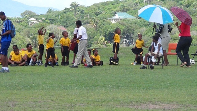 EPPS wins big over VOJN