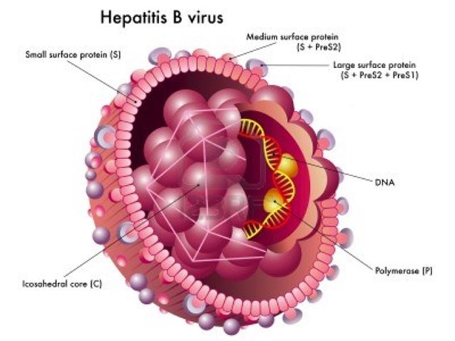 Newborns now to receive Hepatiis B Vaccine