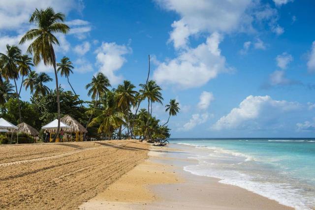 British lawyer Richard Wheeler and wife Grace found hacked to death at Caribbean home