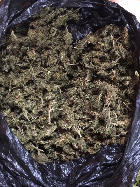 Four Held, Half Million Dollars in Drugs Found During Saturday Search Operations