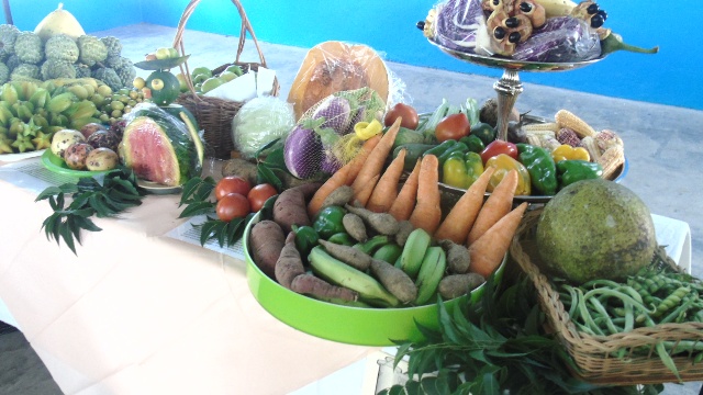 Inaugural Health Expo-A Success