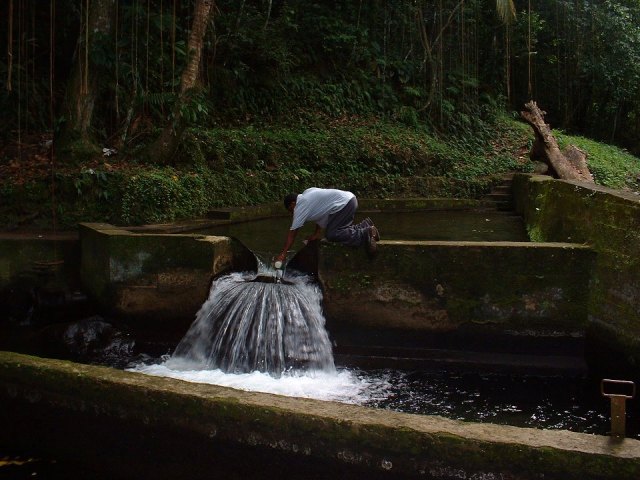Water Rationing Reintroduced As December Rainfall Only Half of 2014 Total‏