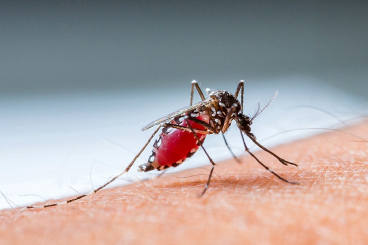 US issues travel advice over Zika in Caribbean; cautions pregnant women to reconsider travel