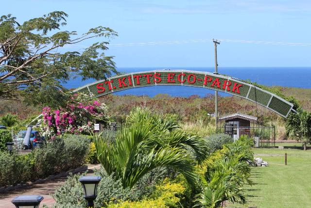 SKN Going Green for Earth Week 2016
