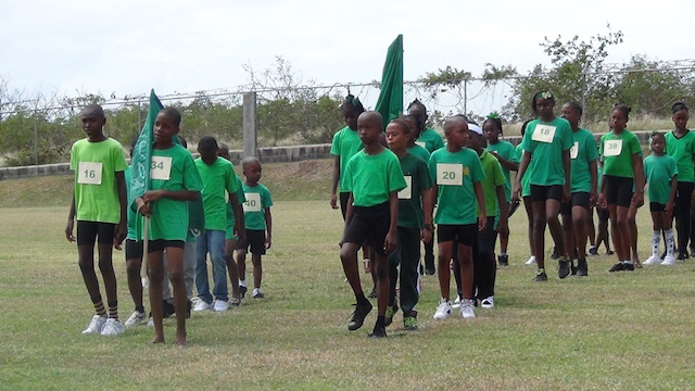 GREEN SPARROWS FLY AWAY WINNERS AT STPS