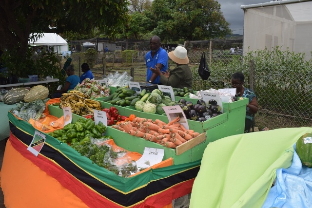 Agriculture Open Day Theme Encourages Adaptation to Global Realities‏