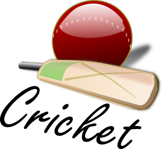 Cricket Brown Hill Whip Easterns