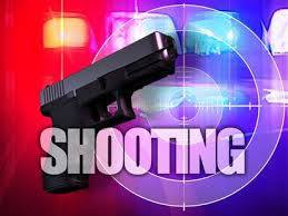 Two persons in custody for past weekend shootings