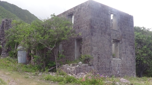 Eden Browne Estate in Focus