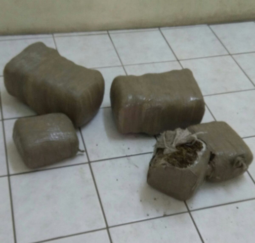 MARIJUANA WASHES ASHORE, SEIZED BY POLICE