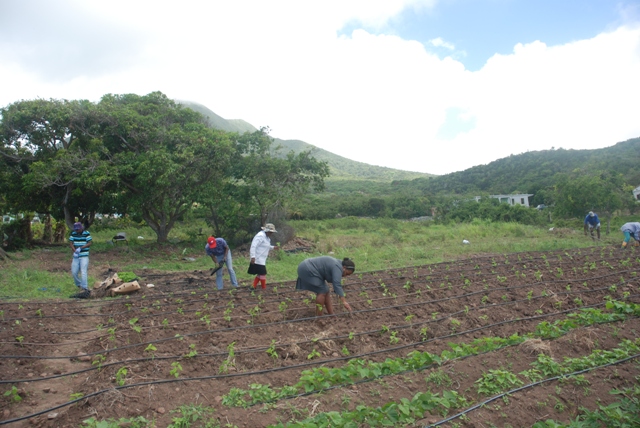 Department of Agriculture staff commended for successful Community Outreach Day