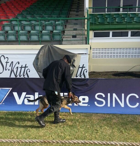 POLICE K-9  PLAYS KEY ROLE IN INTERNATIONAL EVENTS HOSTING