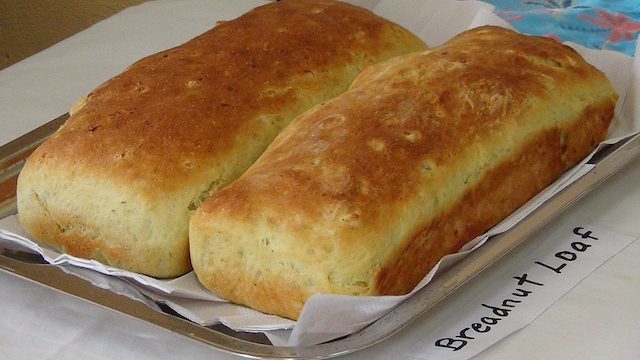 POND HILL COMMUNITY DAY FEATURES THE BREAD NUT