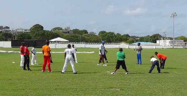 Overseas Coaches Assist with Local Cricket Camp