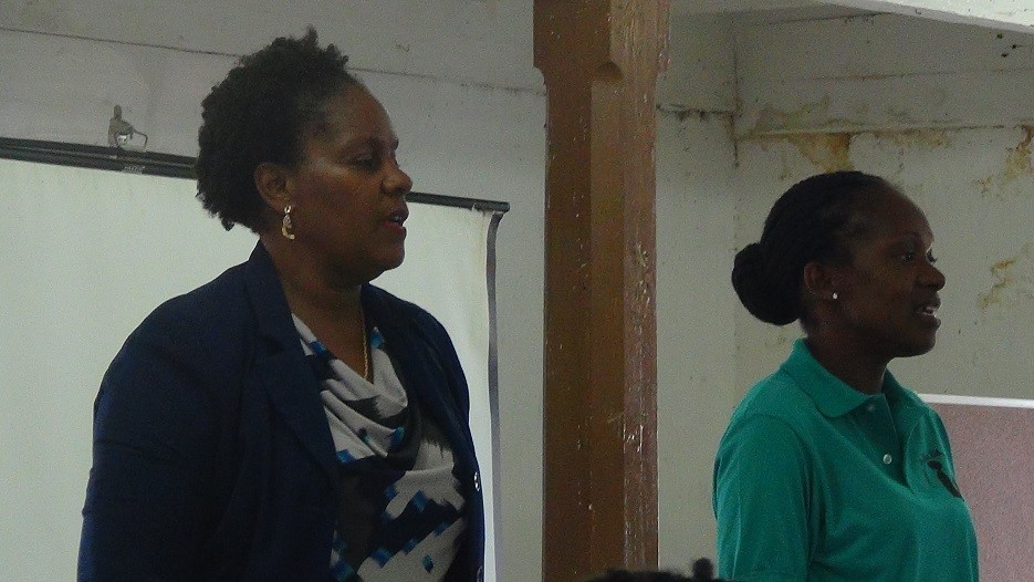 NEVIS PUBLIC LIBRARY SUMMER PROGRAM UNDERWAY