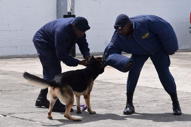 “Time to Draw the Line in the Sand ” With Respect to Crime, PM Harris Says‏