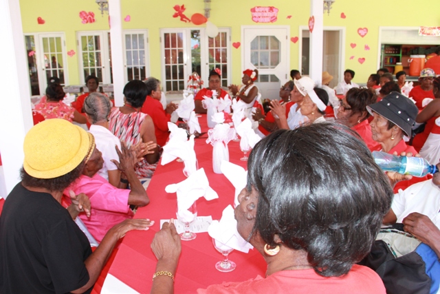 Miss Nevis Seniors Queen Show coming; Seniors Division seeking assistance
