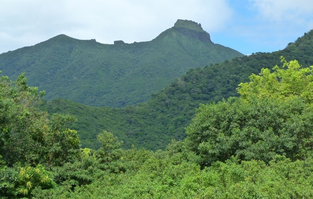 Work to be done at Central Forest Reserve National Park, Nevis Peak and Camps River Watershed Area