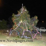 CHRISTMAS TREE LIGHTING DATES FOR 2016 RELEASED