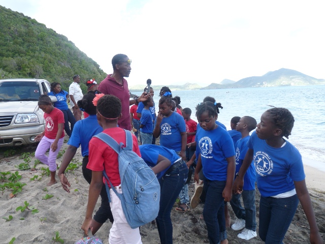 Nevis children participate in Sea Turtle Hunt