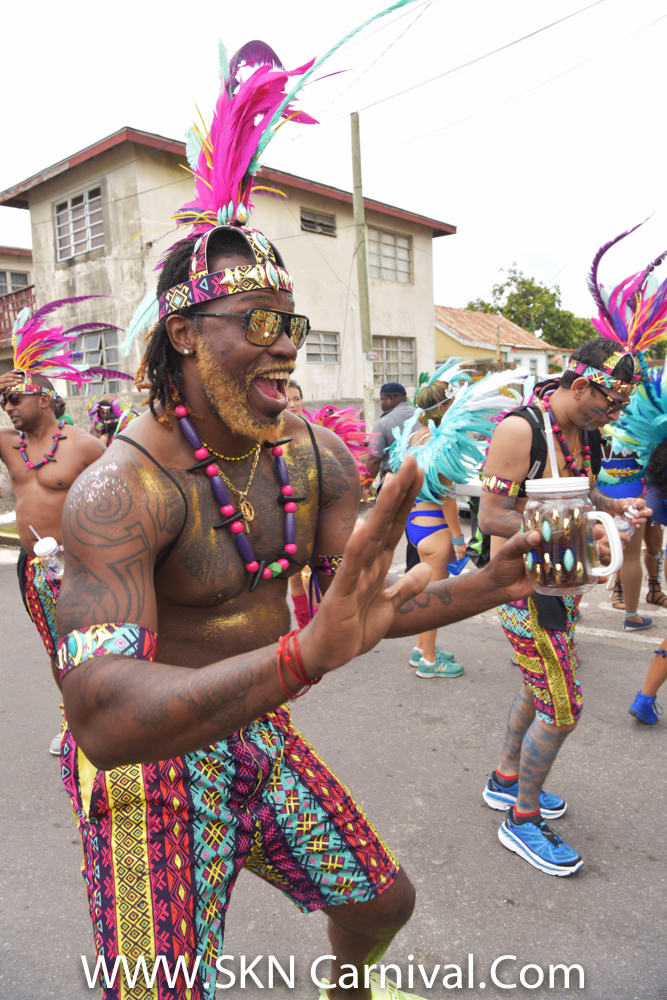 Shifting Carnival to another Time of the Year Will Pose Challenges, Says Chairman of Carnival Mills