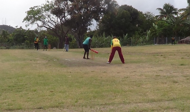 FIRE HALL AND BUSH WHACKERS WIN AT VPL LEAGUE