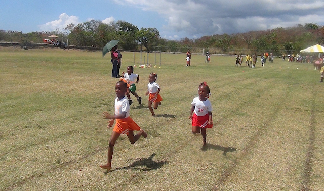 Orange House Prevails at Inez France pre…