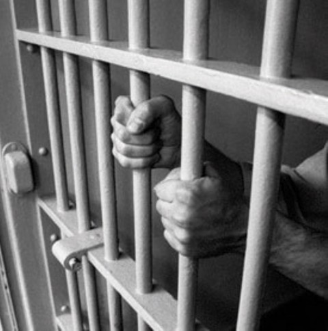 18 year old sentenced to 12 months for stealing