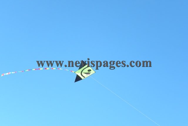 DSCN8083