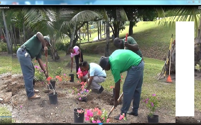 Four Seasons Staff Plant Bougainvilleas in Commemoration of Earth Day