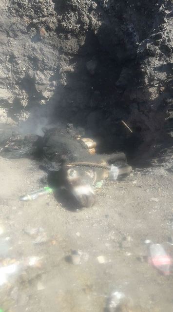 Donkeys being culled in Nevis?