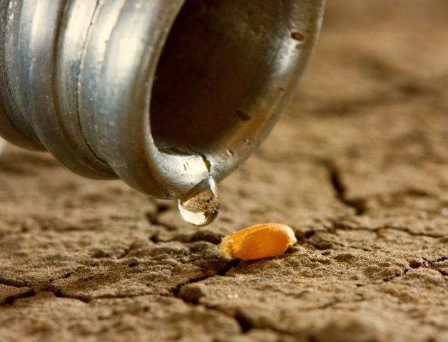 Stakeholders Participate in Writeshop Aimed at Managing Drought Events in OECS Member States