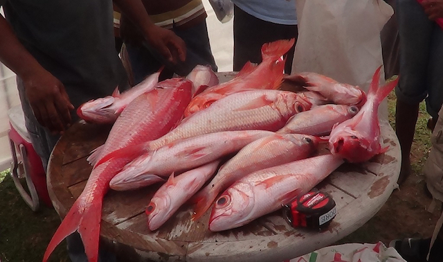 Hanley’s Road Annual fishing Tournament another whopping success.