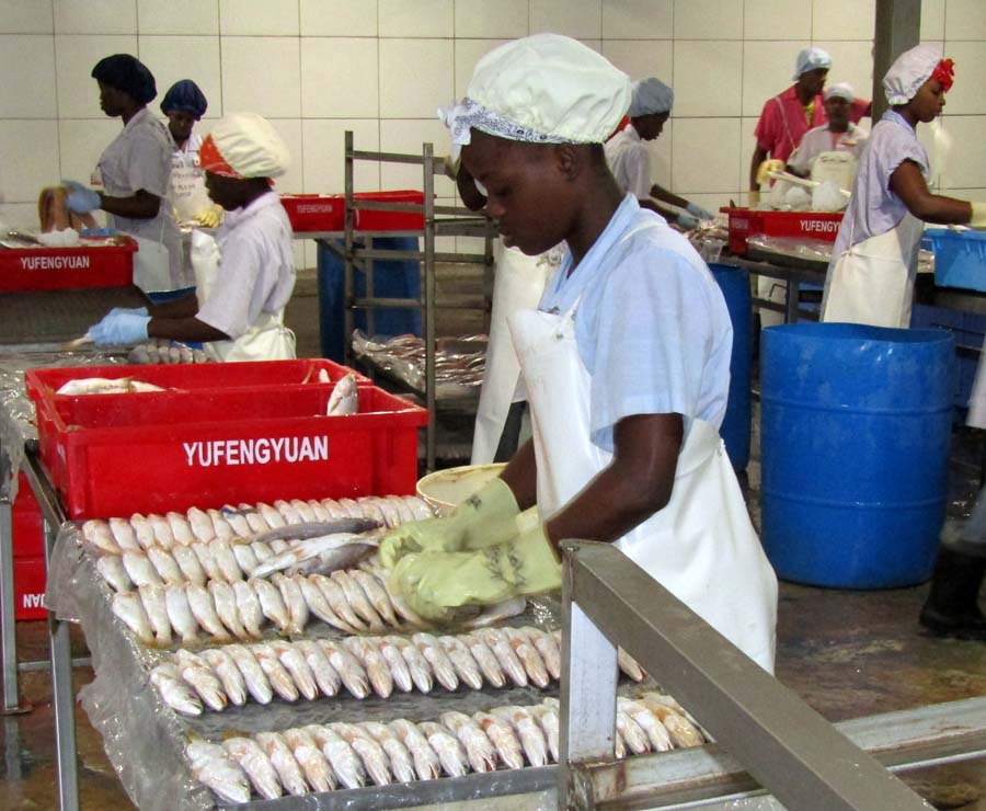 Fisheries Ministers from CRFM Member States meet Friday in Guyana