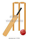 Press Release from the St. Kitts Cricket Masters.