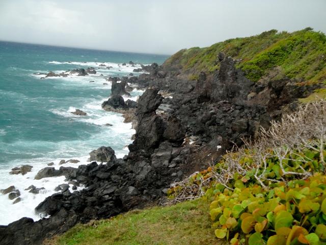 Upgrades to Black Rocks to Enhance Both Visitor and Vendor Experince
