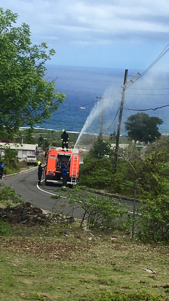 Lamp post to blame for electrical outage