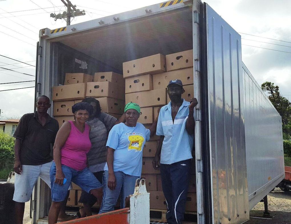 Agricultural Revolution underway in the OECS