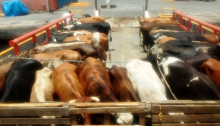 Agrishipping15