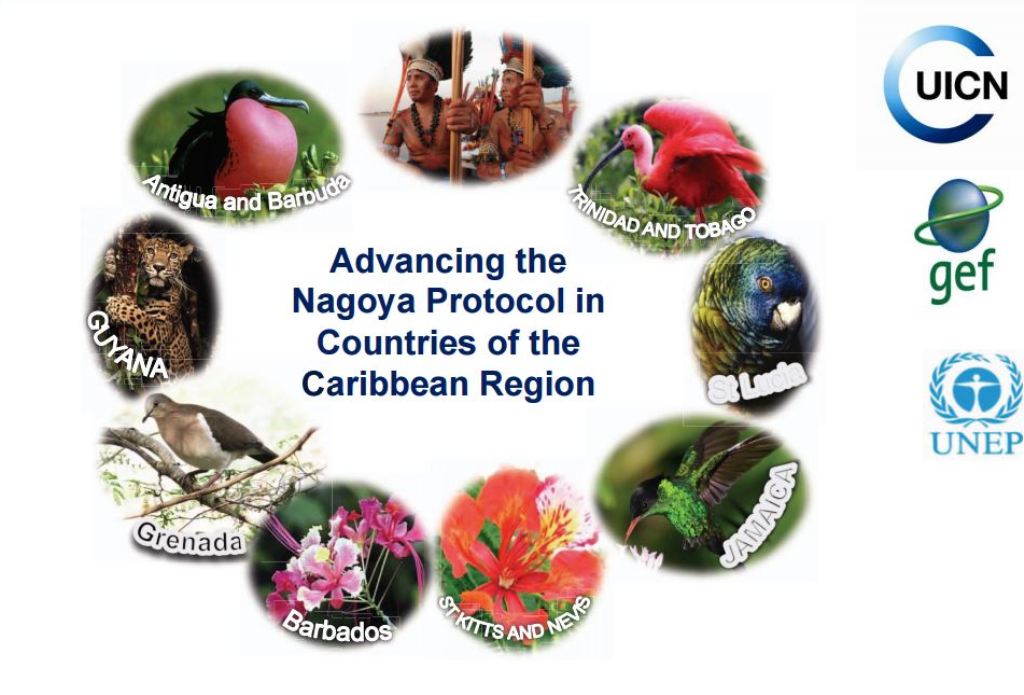 Stakeholders Meet in St. Kitts to Convene Regional Workshop on the Nagoya Protocol